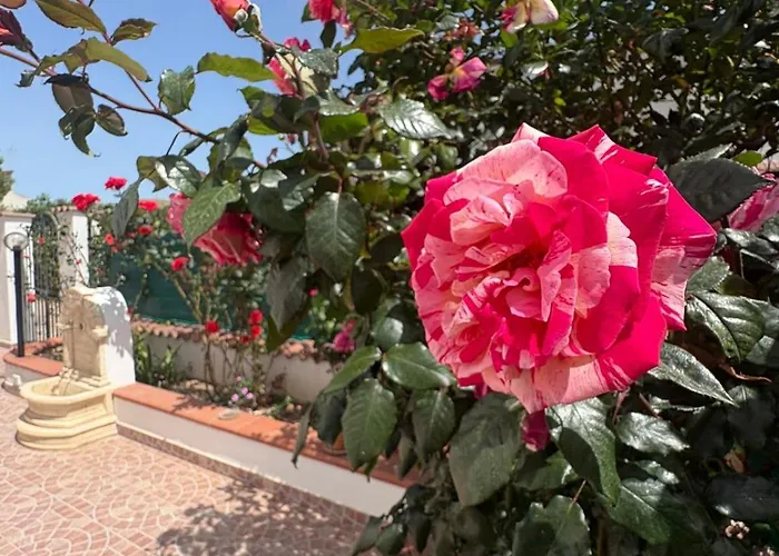 4 Fontane Holiday home *