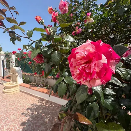 4 Fontane Vakantiehuis *